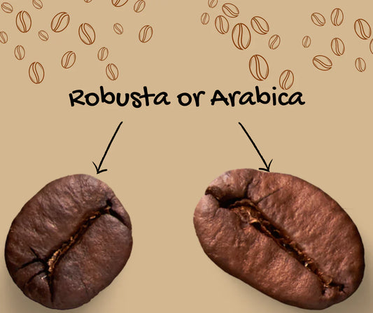 Arabica vs Robusta: What's the difference?
